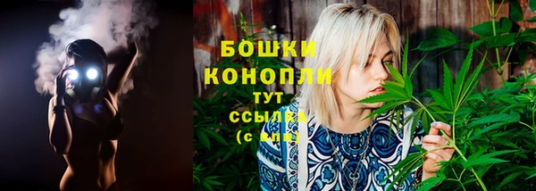 стаф Няндома