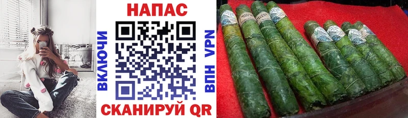 как найти Правдинск блэк спрут ТОР Канабис семена
